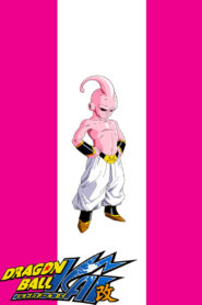 Dragon Ball Kai: Sezon 6