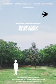 Backyard Blackbird