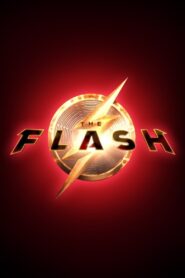 Flash – Flashpoint