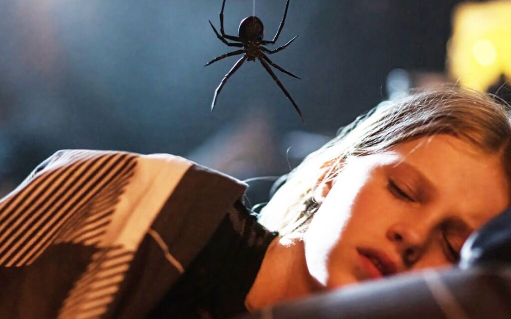 Gniazdo pająka cały film