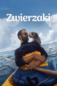 Zwierzęta domowe